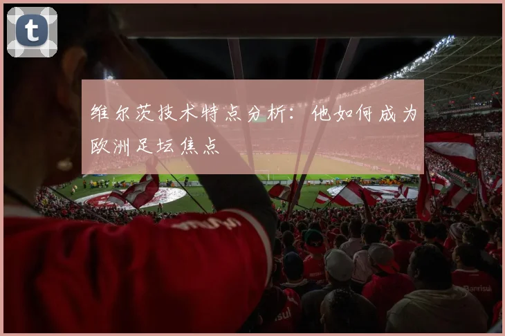 维尔茨技术特点分析：他如何成为欧洲足坛焦点